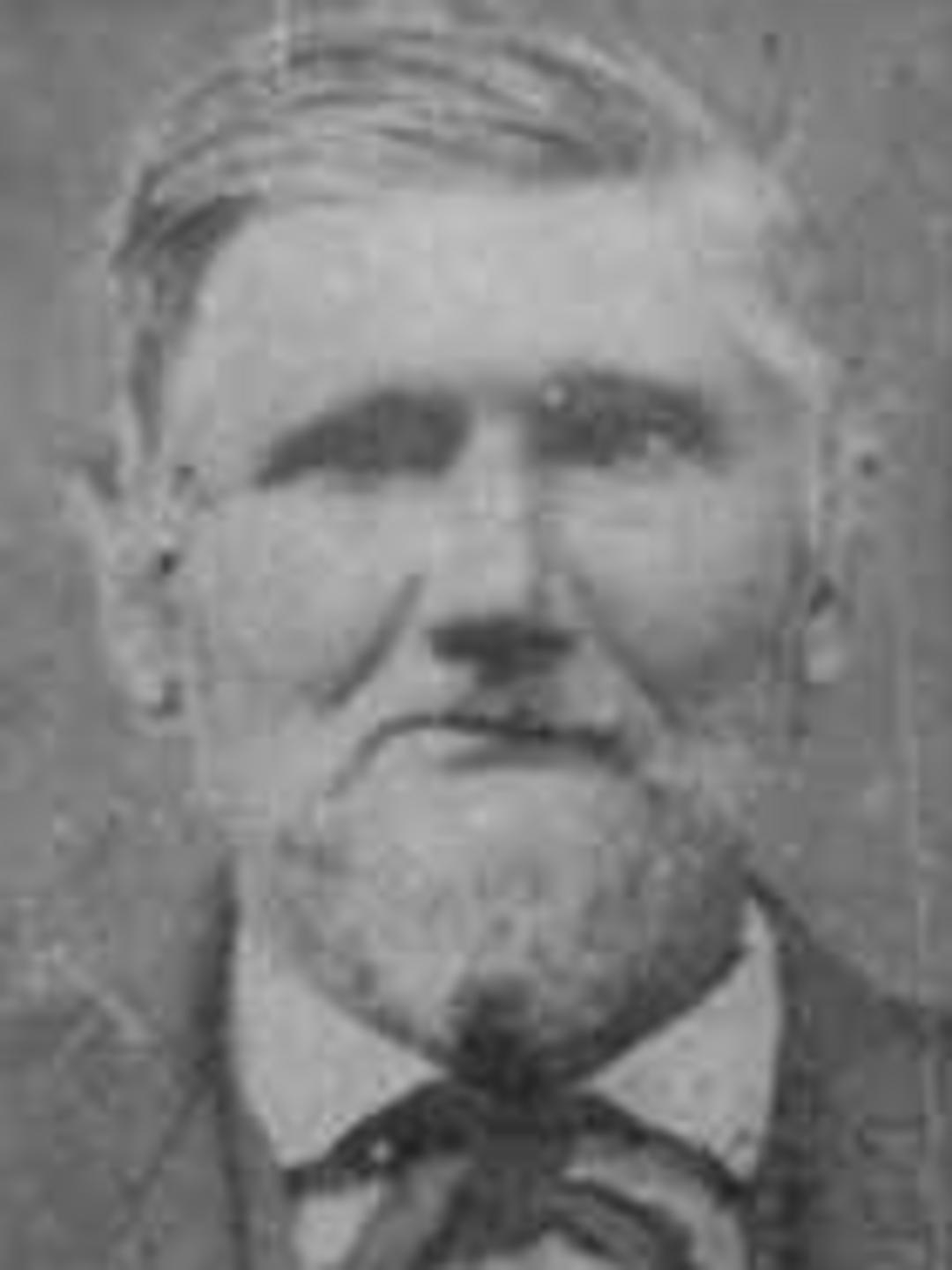 Andrew Prior (1802 - 1895) Profile